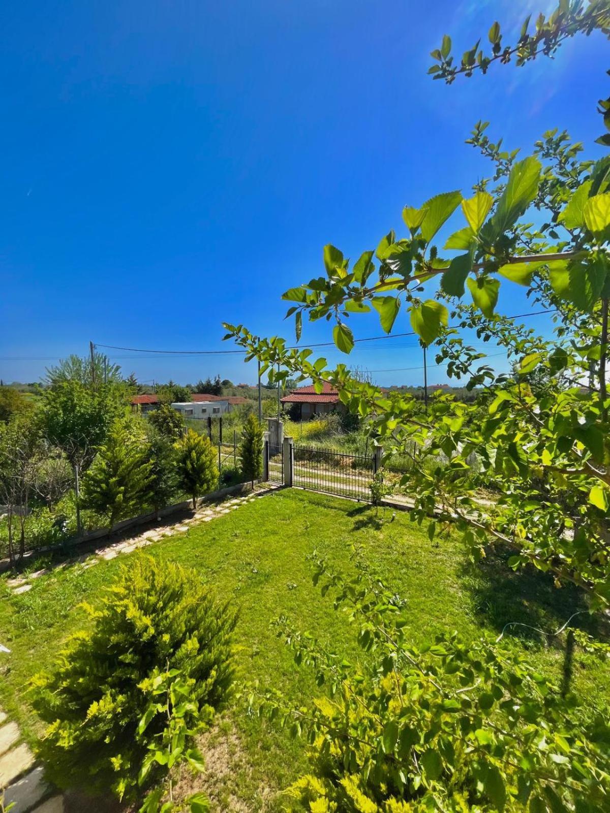 Felix Villa Nea Plagia Exterior photo